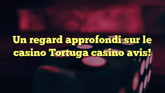 Un regard approfondi sur le casino Tortuga casino avis!